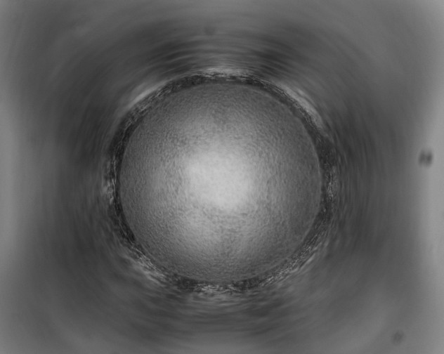 X0000100341015200806121145