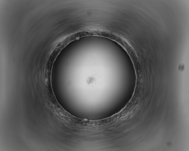 X0000100341016200806121145