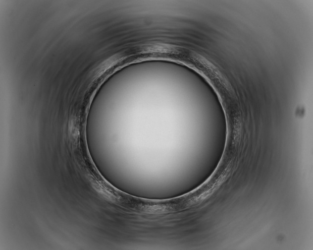 X0000100341017200806121145