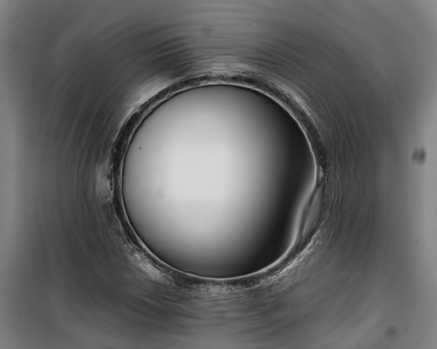 X0000100341018200806121145