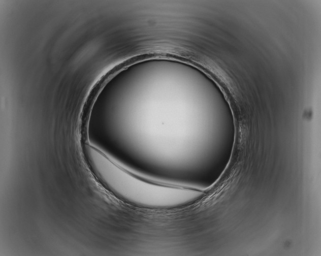 X0000100341020200806121145