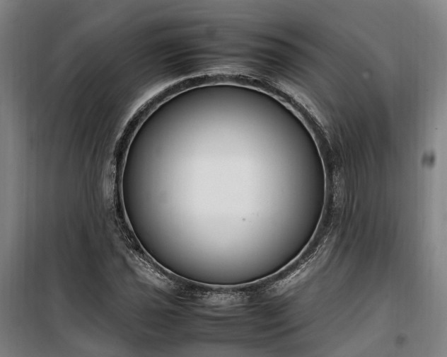 X0000100341021200806121145