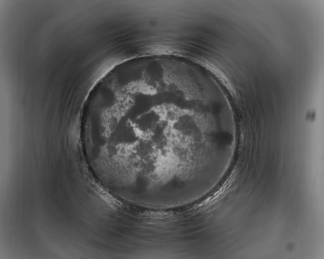 X0000100341023200806121145