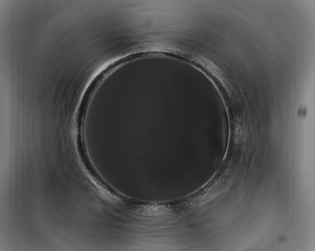 X0000100341024200806121146