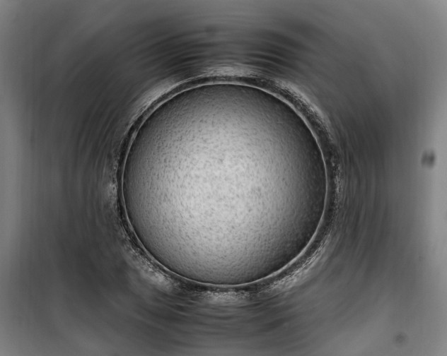 X0000100341025200806121146