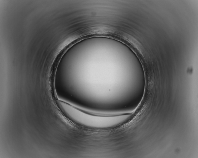 X0000100341026200806121146