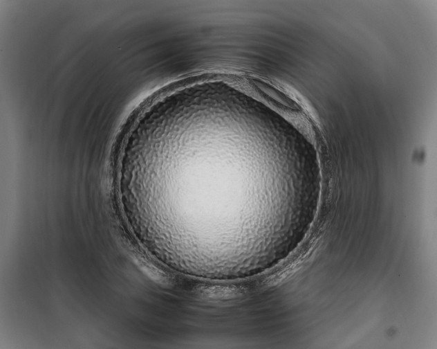 X0000100341027200806121146