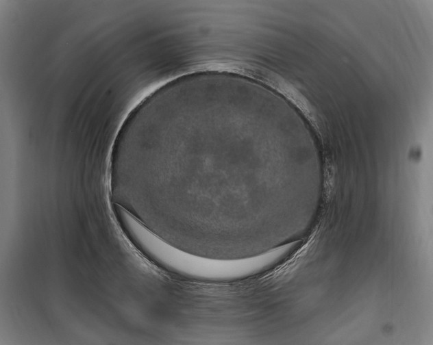 X0000100341028200806121146