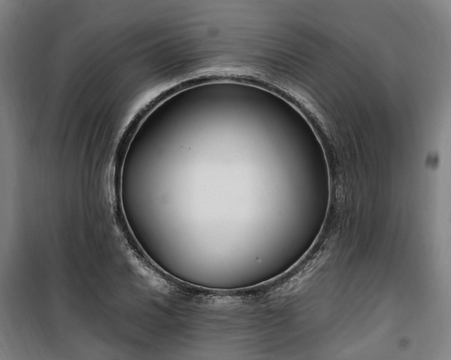 X0000100341030200806121146