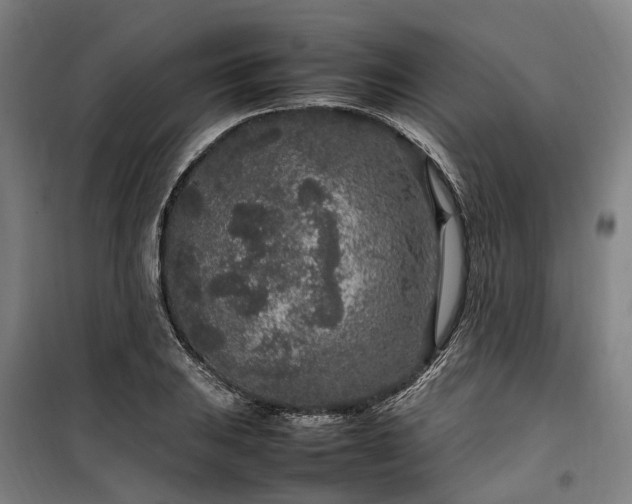 X0000100341031200806121146