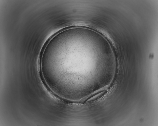 X0000100341032200806121146