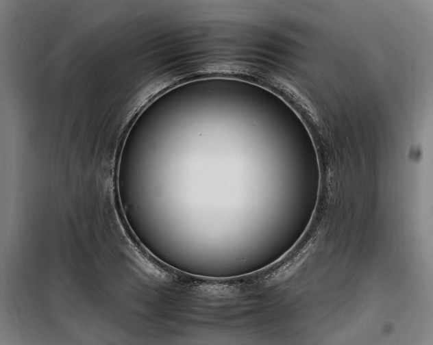 X0000100341033200806121146