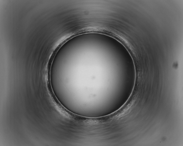 X0000100341034200806121146