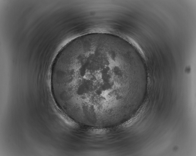 X0000100341035200806121146