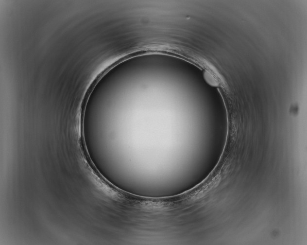 X0000100341036200806121146