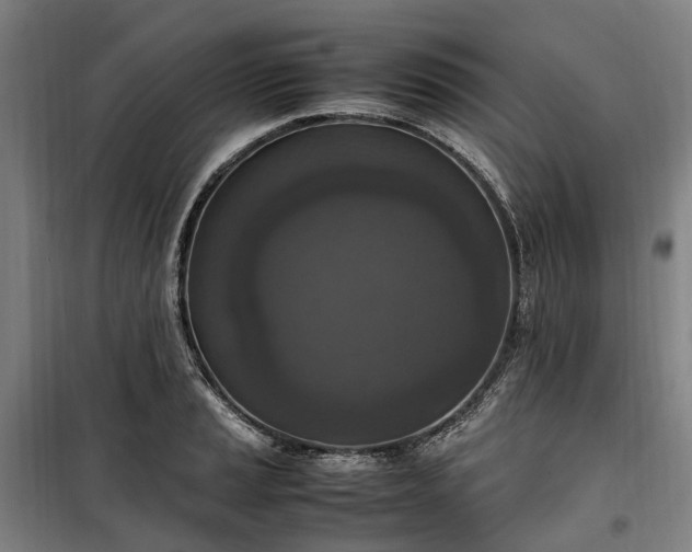 X0000100341037200806121146