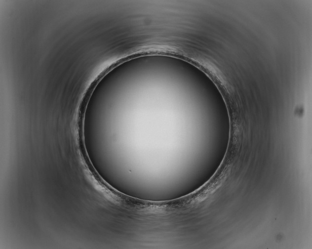 X0000100341038200806121146