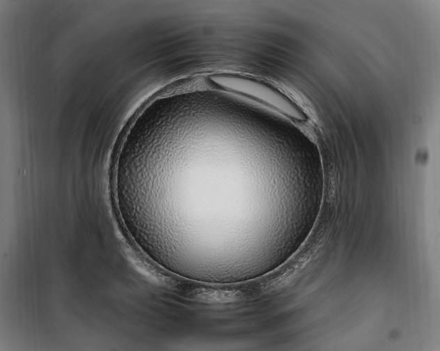 X0000100341039200806121146