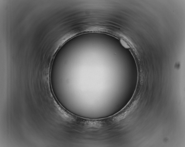 X0000100341041200806121146