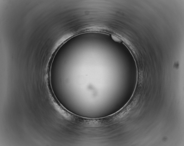 X0000100341042200806121146