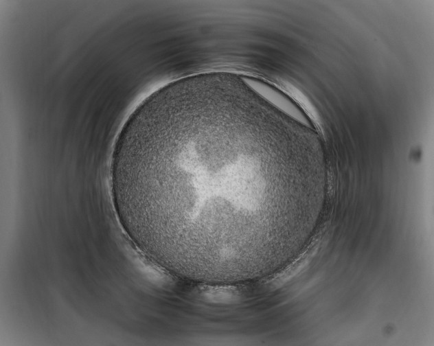 X0000100341043200806121146