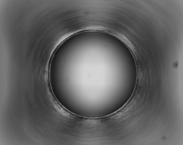 X0000100341044200806121146