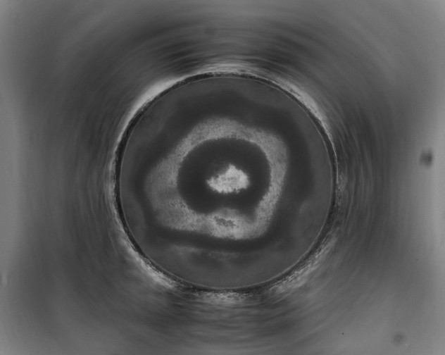 X0000100341045200806121146