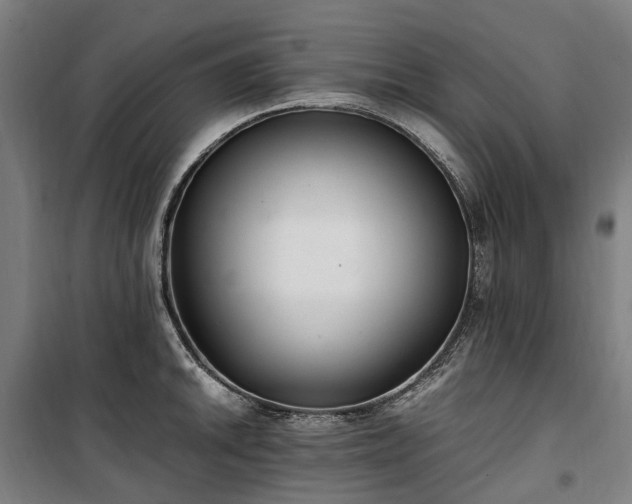 X0000100341046200806121146