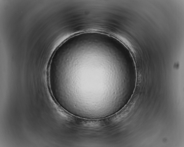 X0000100341047200806121146