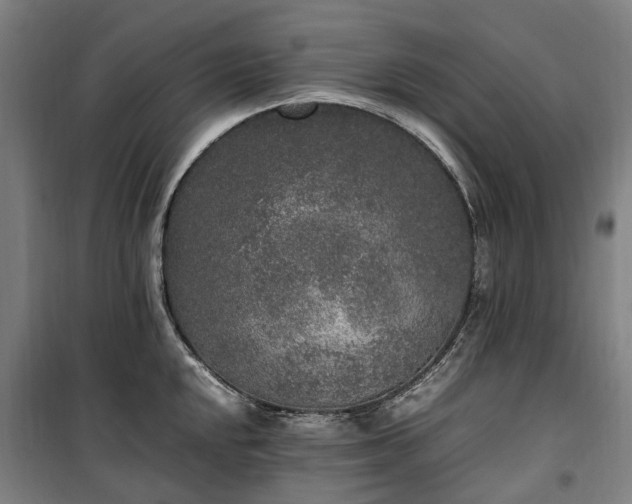 X0000100341048200806121146