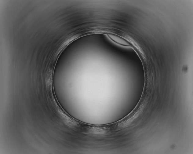 X0000100341049200806121146