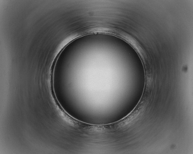 X0000100341050200806121146