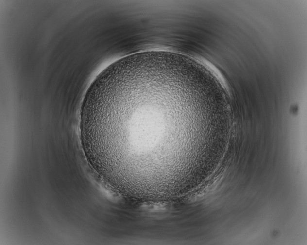 X0000100341051200806121146