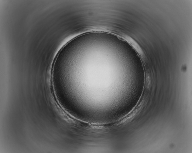 X0000100341052200806121146