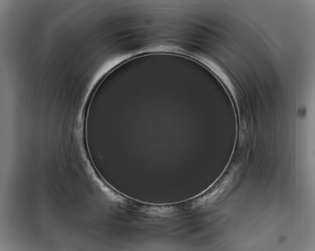 X0000100341053200806121146