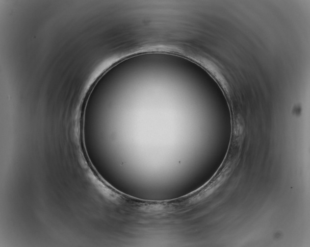 X0000100341054200806121146