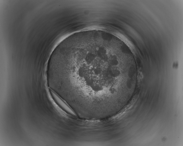 X0000100341055200806121146