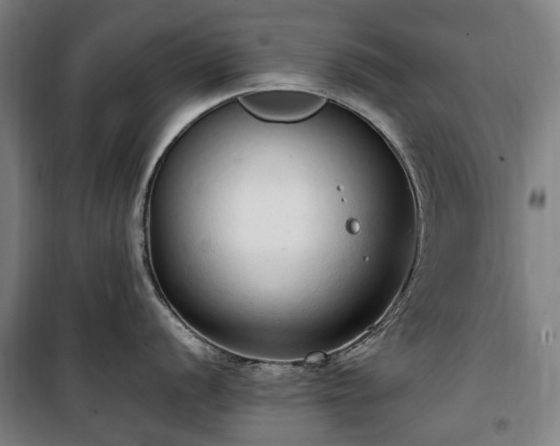 X0000100341056200806121146