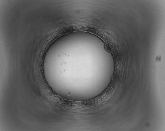 X0000100341057200806121145