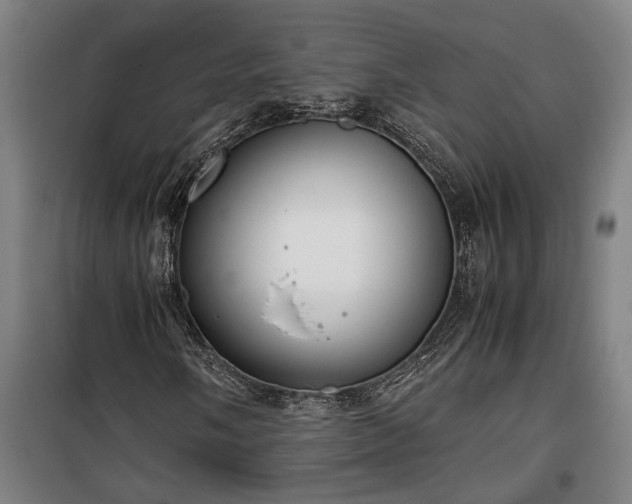 X0000100341058200806121145