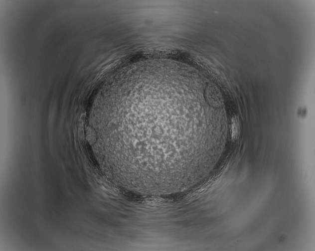 X0000100341059200806121145