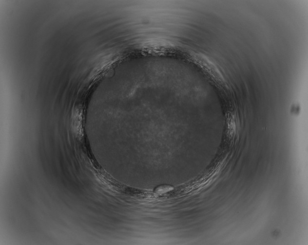 X0000100341060200806121145