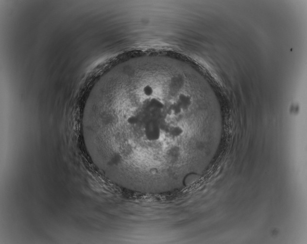 X0000100341063200806121145