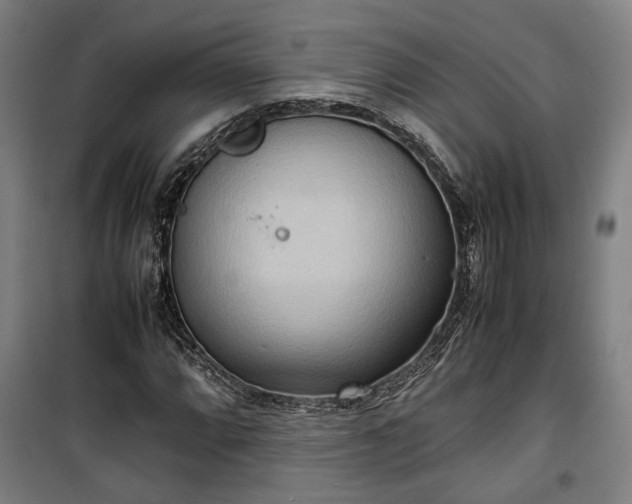 X0000100341064200806121145