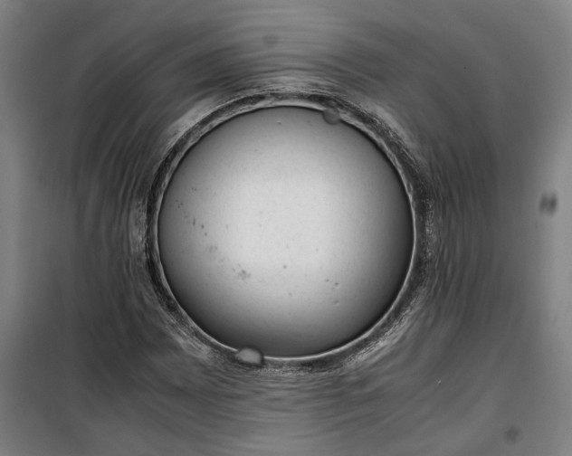 X0000100341065200806121145