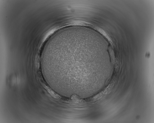 X0000100341067200806121145