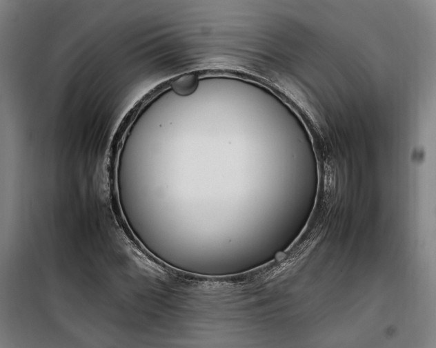 X0000100341068200806121145