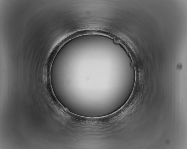 X0000100341069200806121145