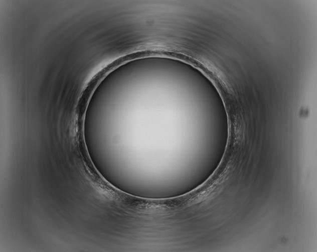 X0000100341070200806121145