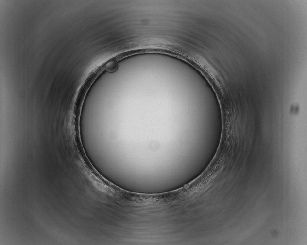 X0000100341072200806121145